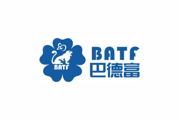 巴德富集团有限公司